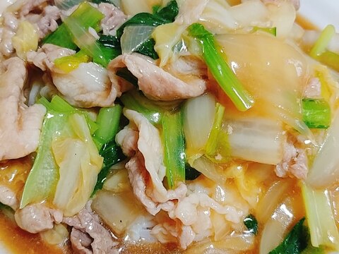 白菜　小松菜　玉葱　豚肉のシャンタン中華丼